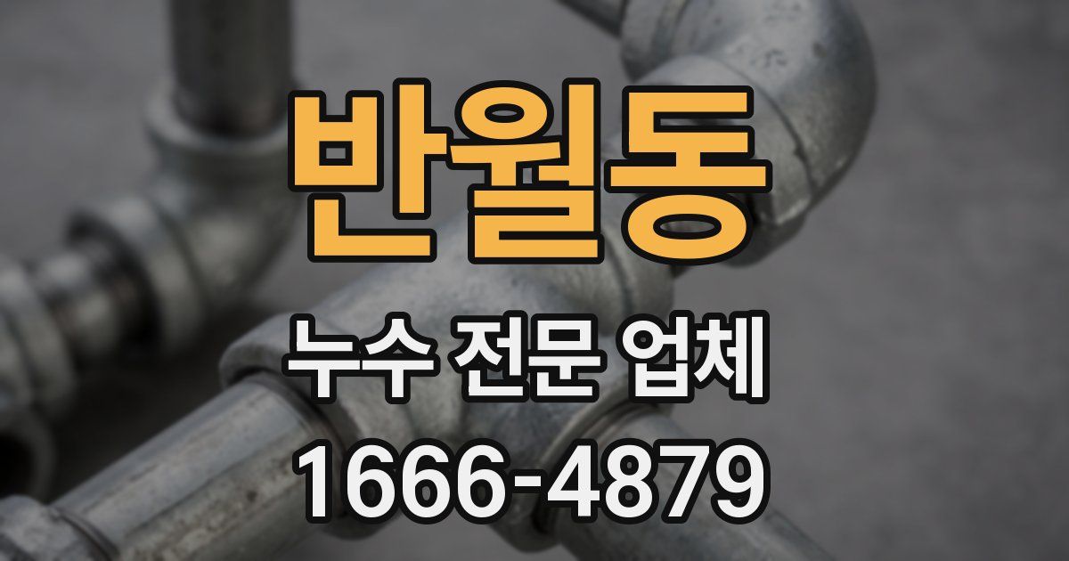반월동 누수 전문 업체