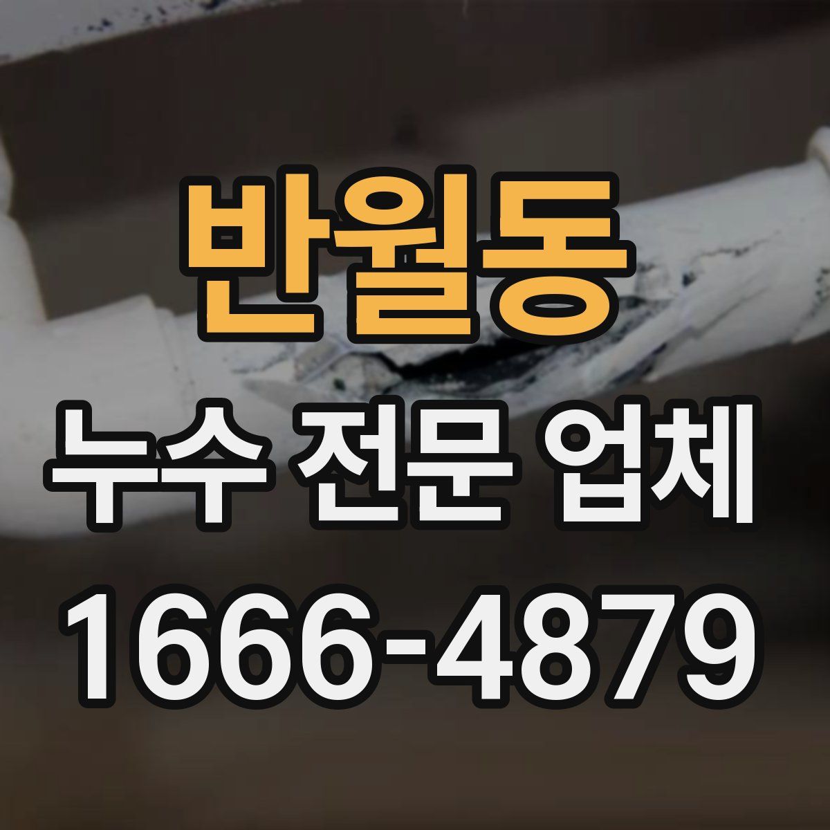 반월동 누수 전문 업체