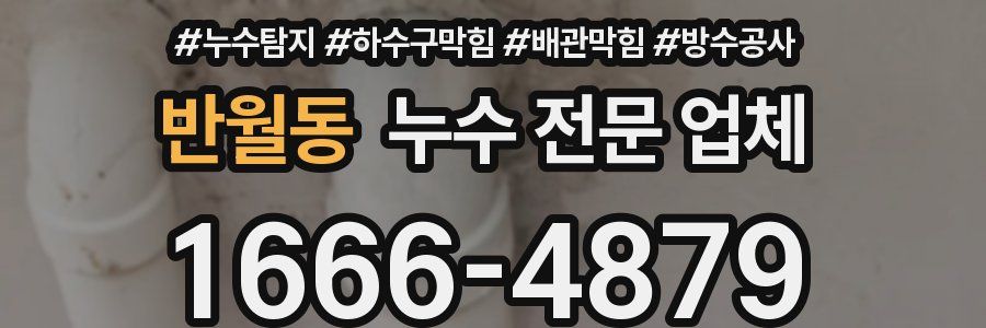 반월동 누수 전문 업체