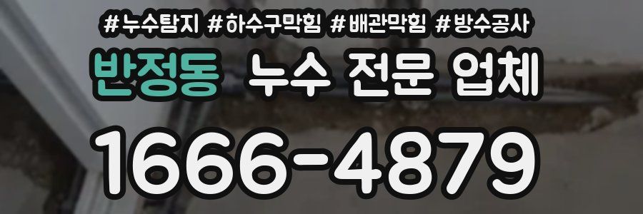 반정동 누수 전문 업체