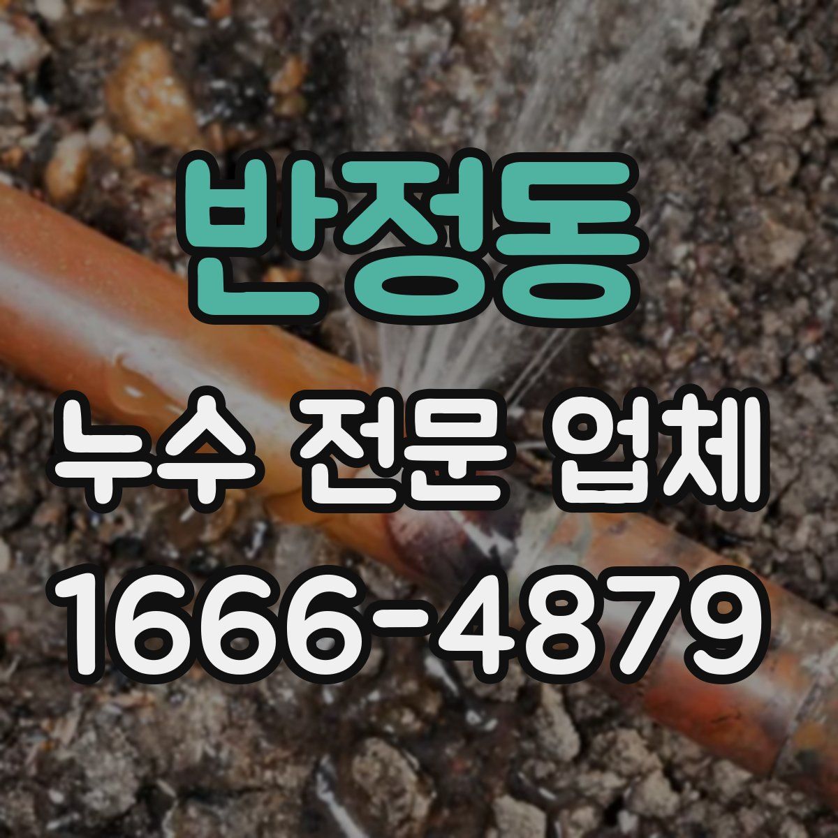반정동 누수 전문 업체