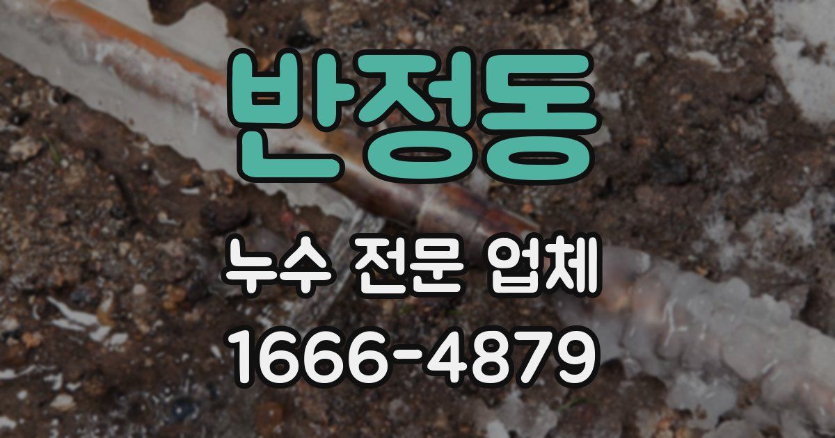 반정동 누수 전문 업체