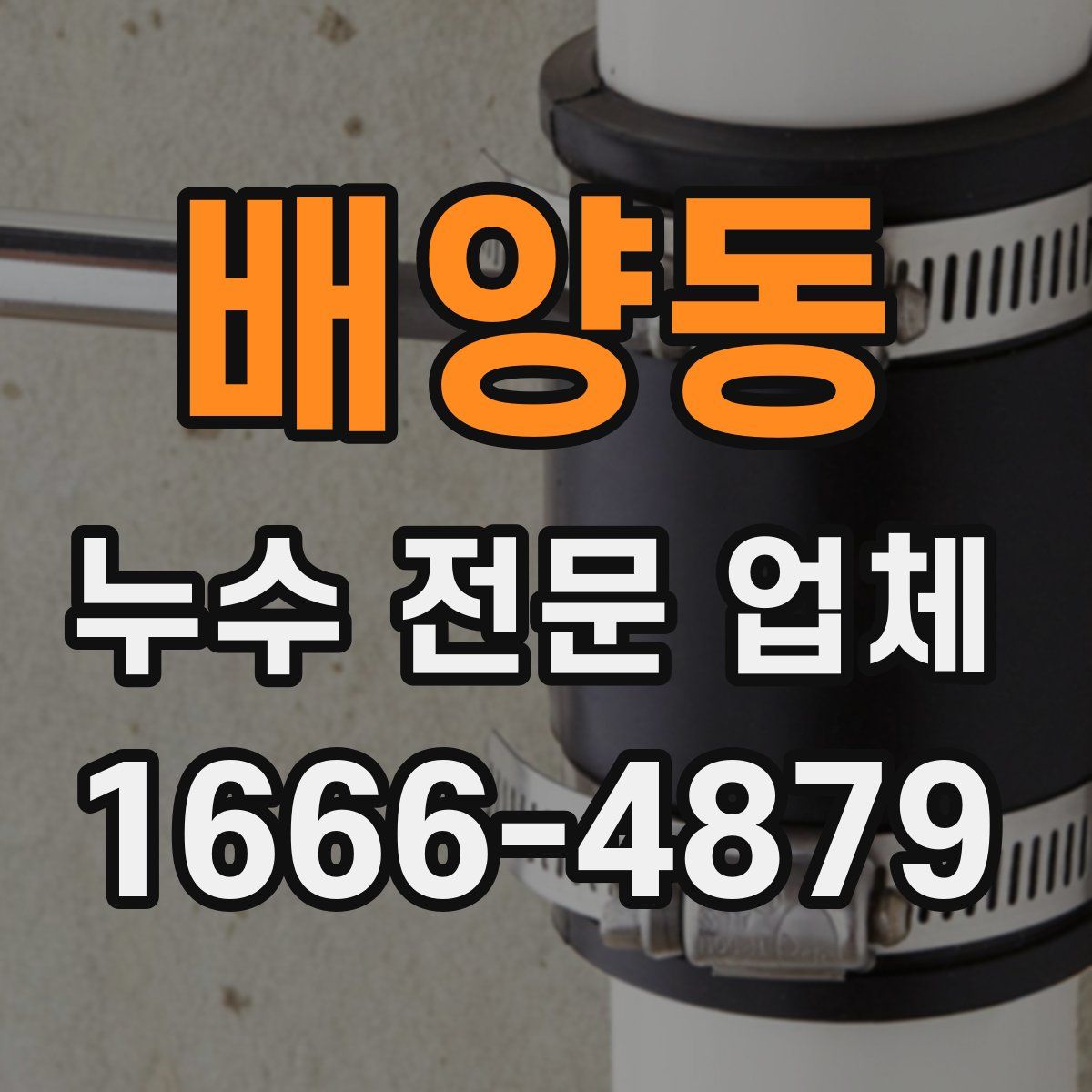 배양동 누수 전문 업체