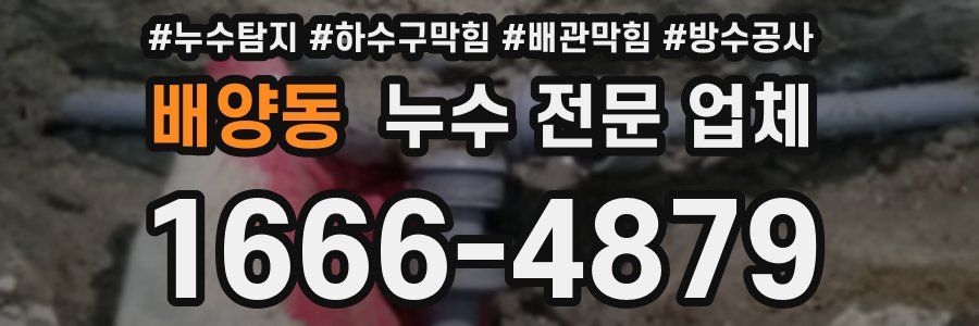 배양동 누수 전문 업체