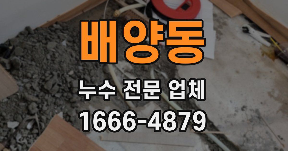 배양동 누수 전문 업체