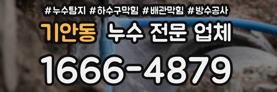 기안동 누수 전문 업체