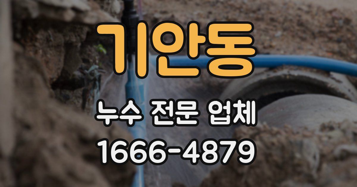 기안동 누수 전문 업체