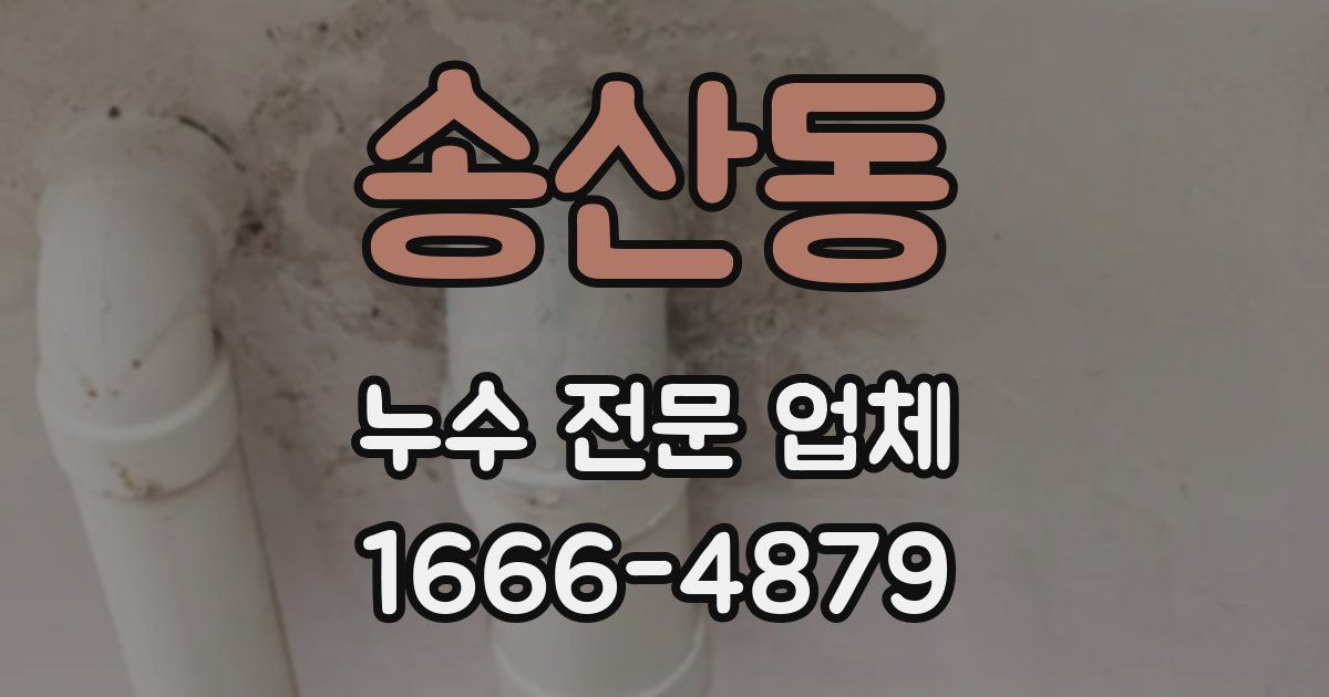 송산동 누수 전문 업체