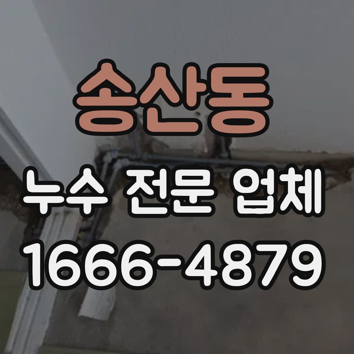 송산동 누수 전문 업체