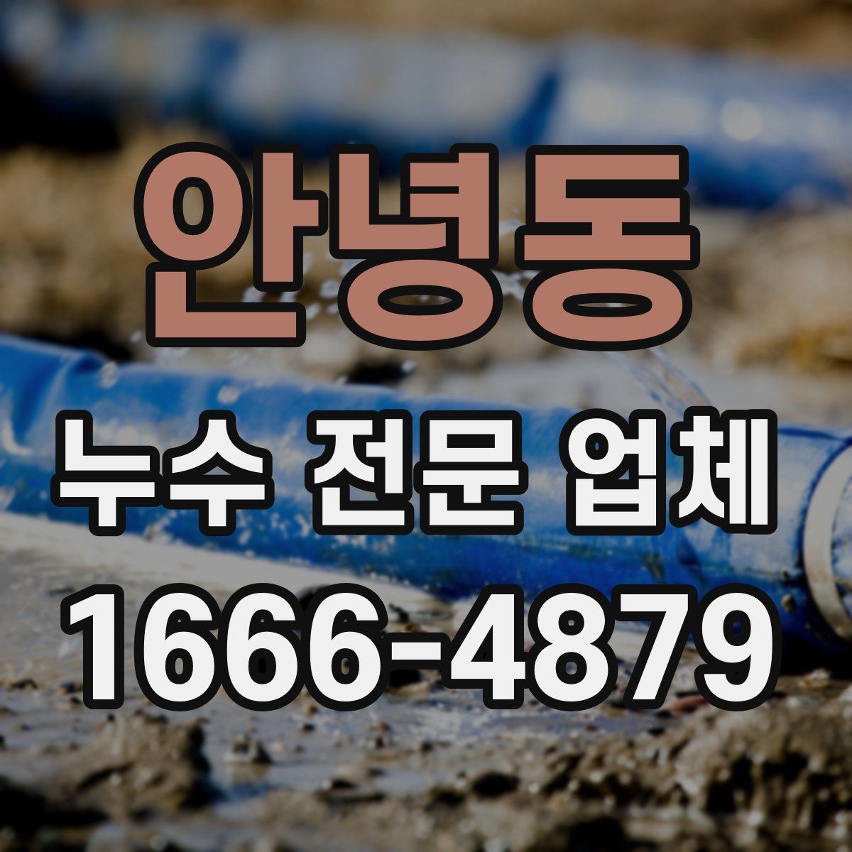 안녕동 누수 전문 업체