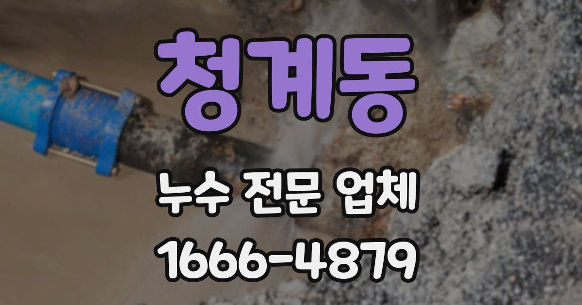 청계동 누수 전문 업체