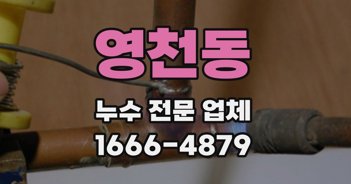 영천동 누수 전문 업체