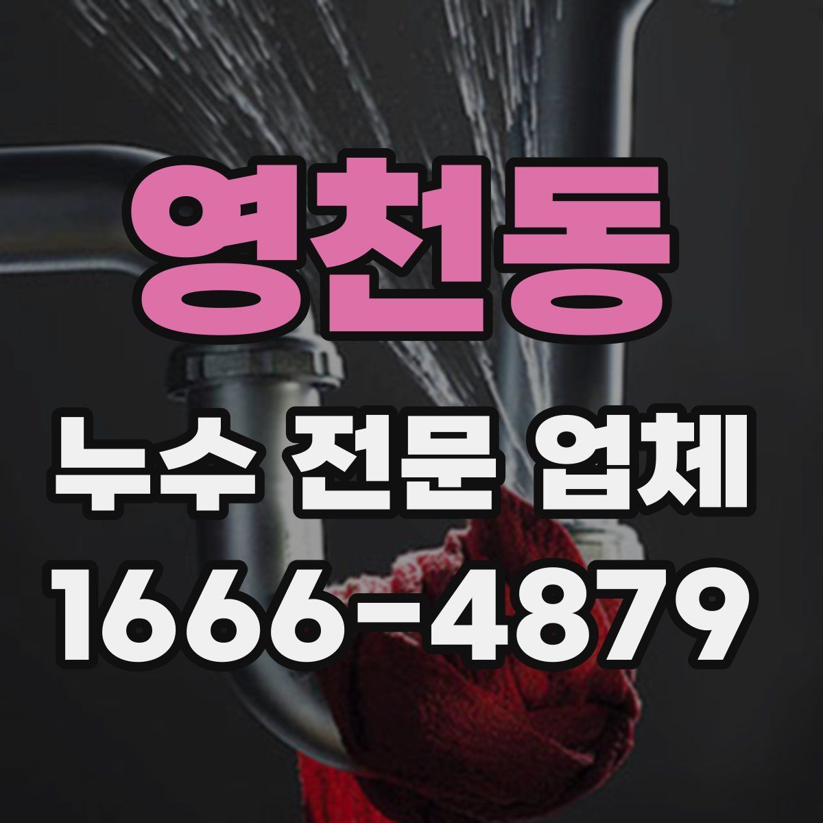 영천동 누수 전문 업체