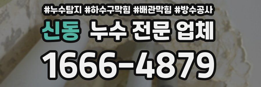 신동 누수 전문 업체