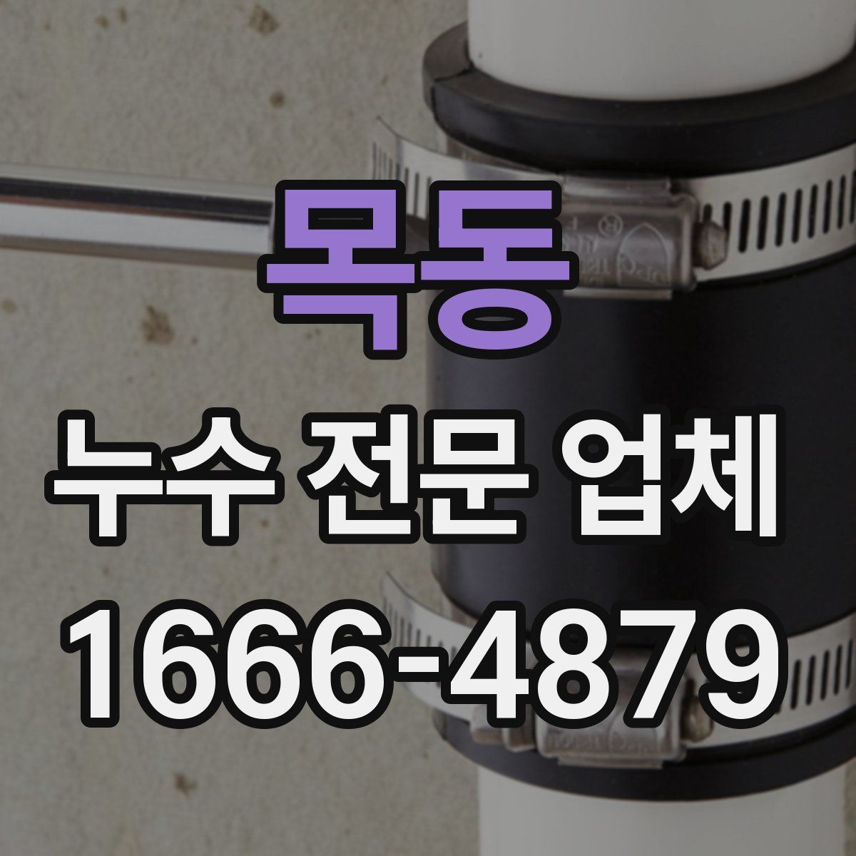 목동 누수 전문 업체