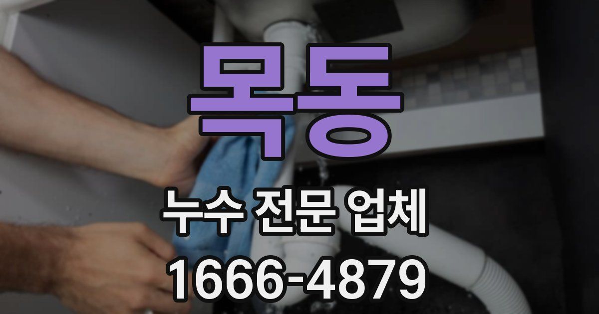 목동 누수 전문 업체