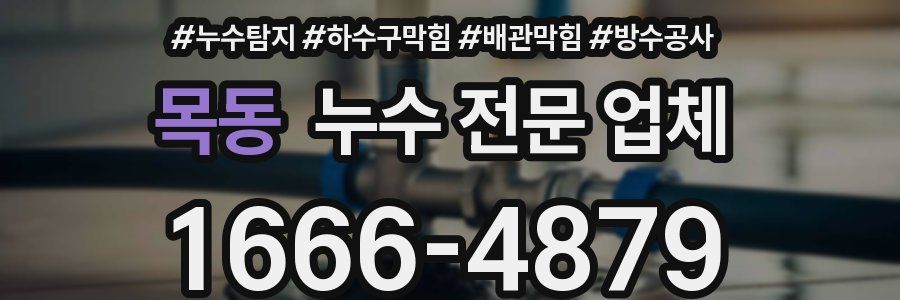 목동 누수 전문 업체