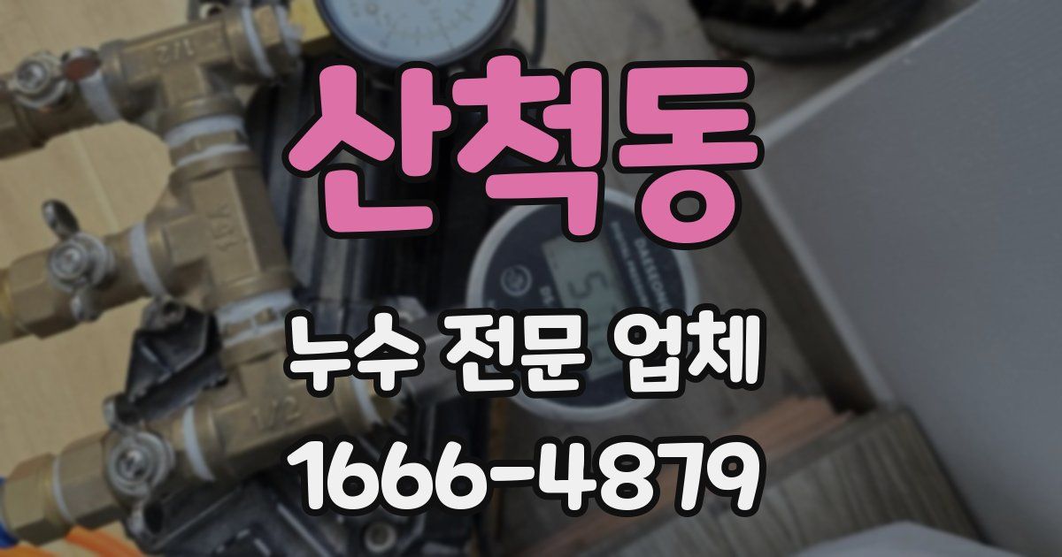 산척동 누수 전문 업체