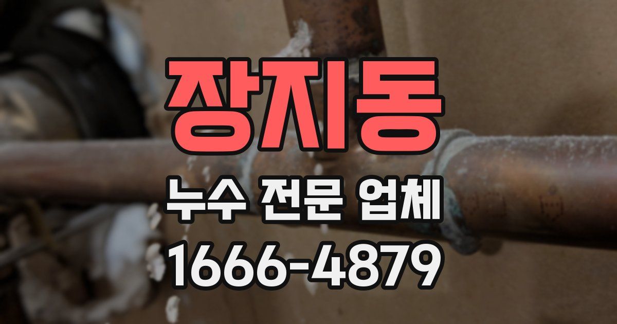 장지동 누수 전문 업체