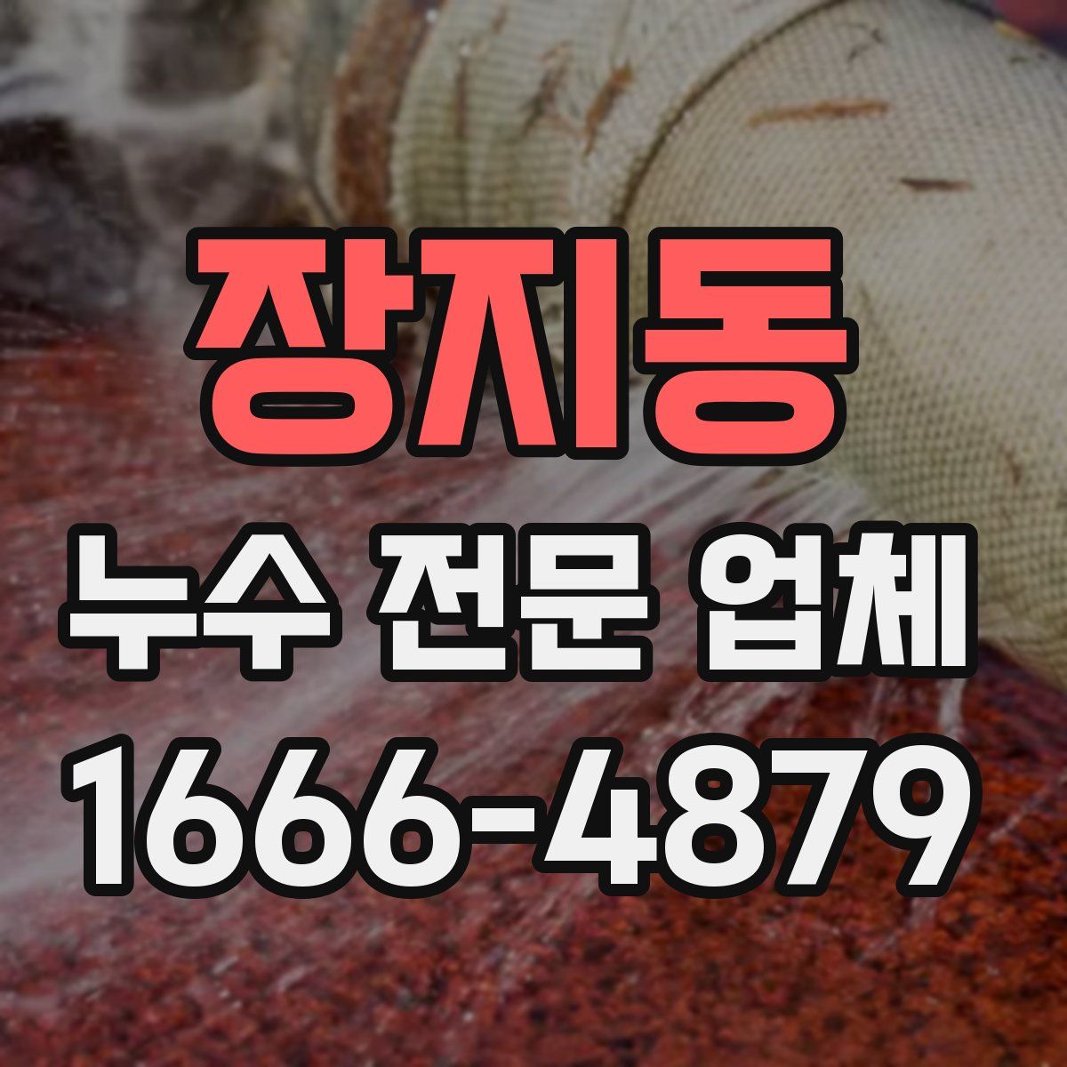 장지동 누수 전문 업체