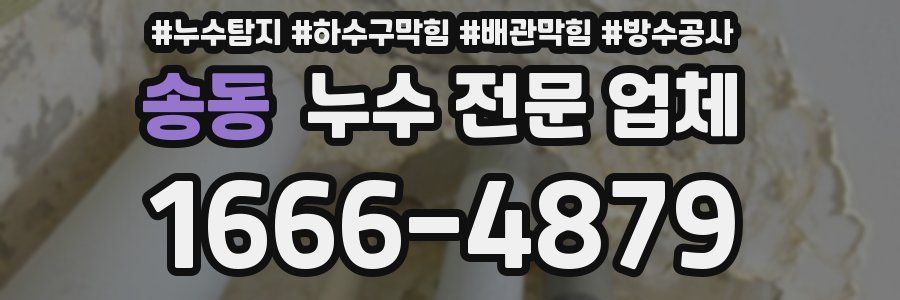 송동 누수 전문 업체
