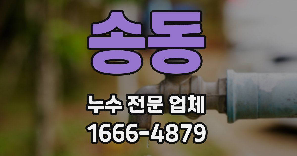 송동 누수 전문 업체