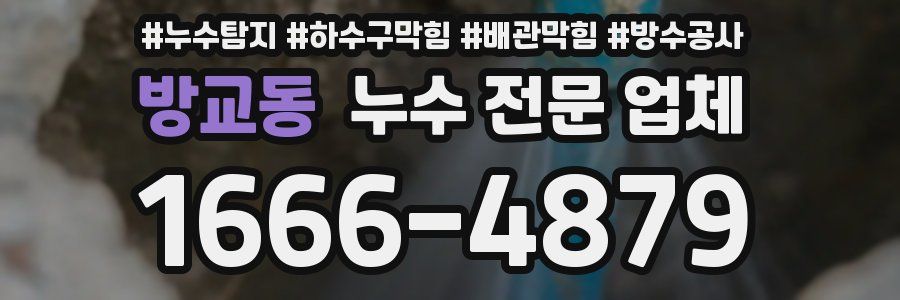 방교동 누수 전문 업체