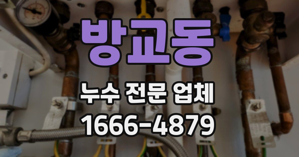 방교동 누수 전문 업체