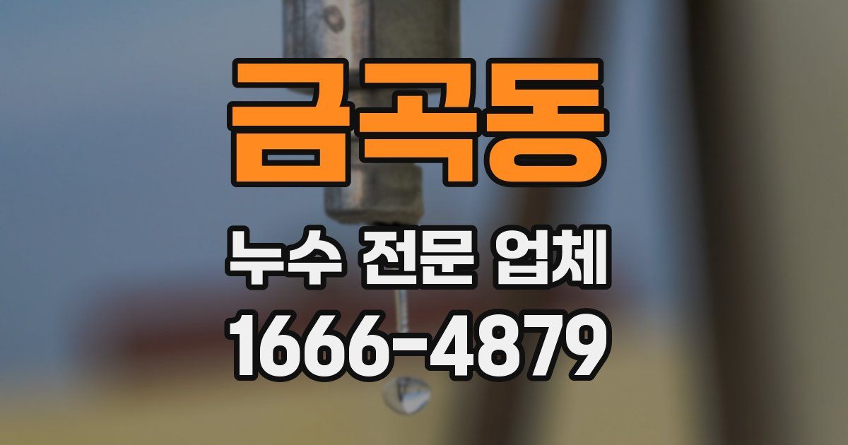 금곡동 누수 전문 업체