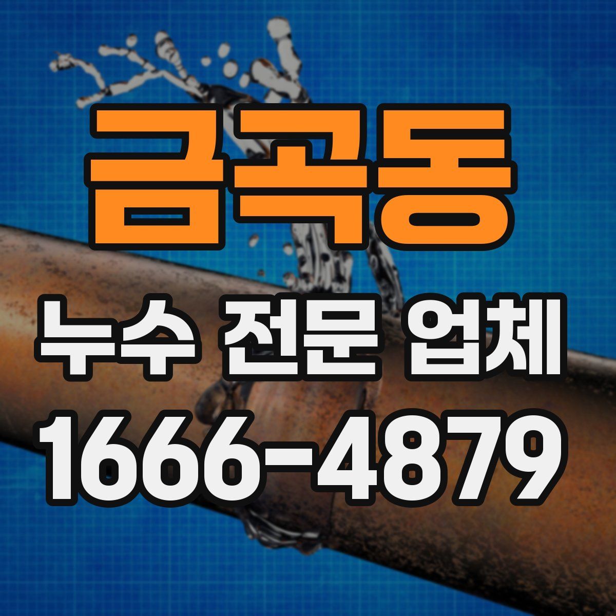 금곡동 누수 전문 업체