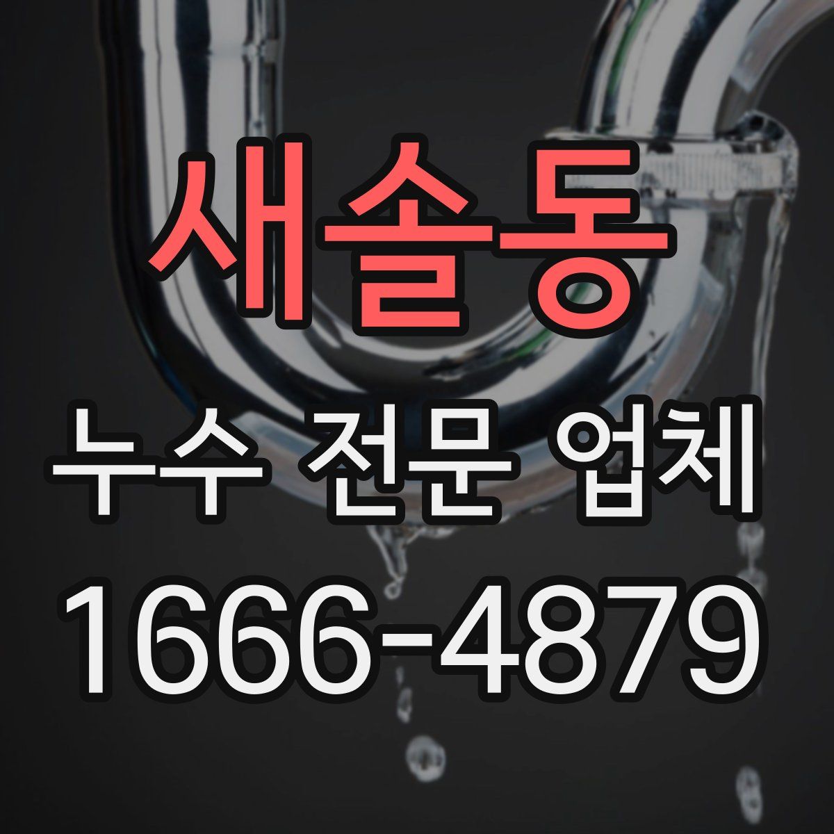 새솔동 누수 전문 업체