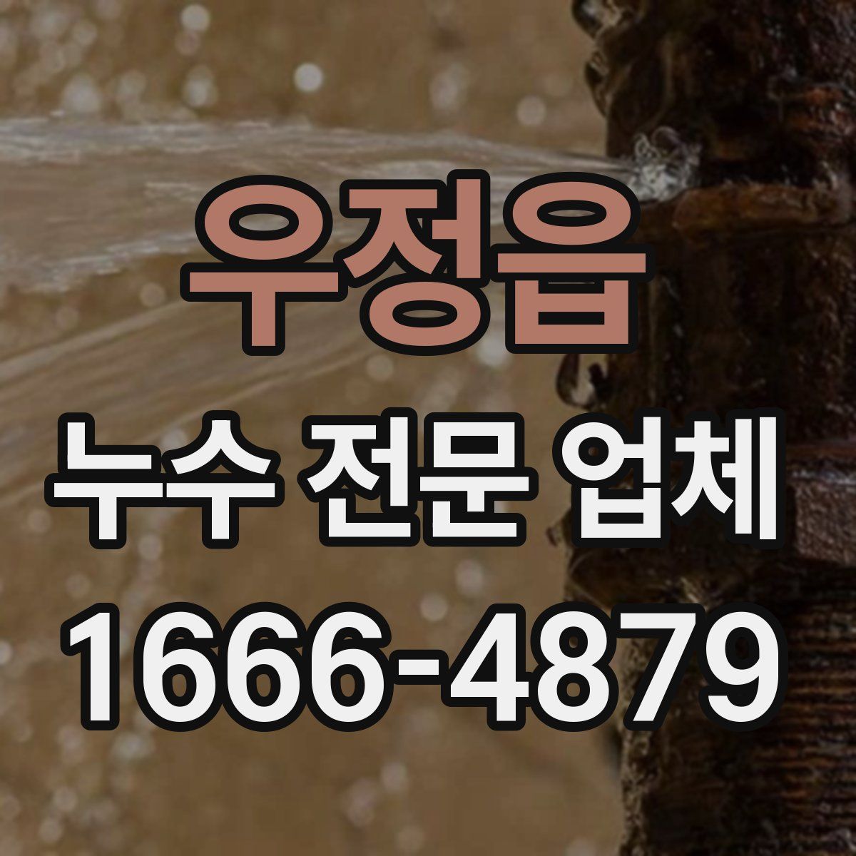 우정읍 누수 전문 업체