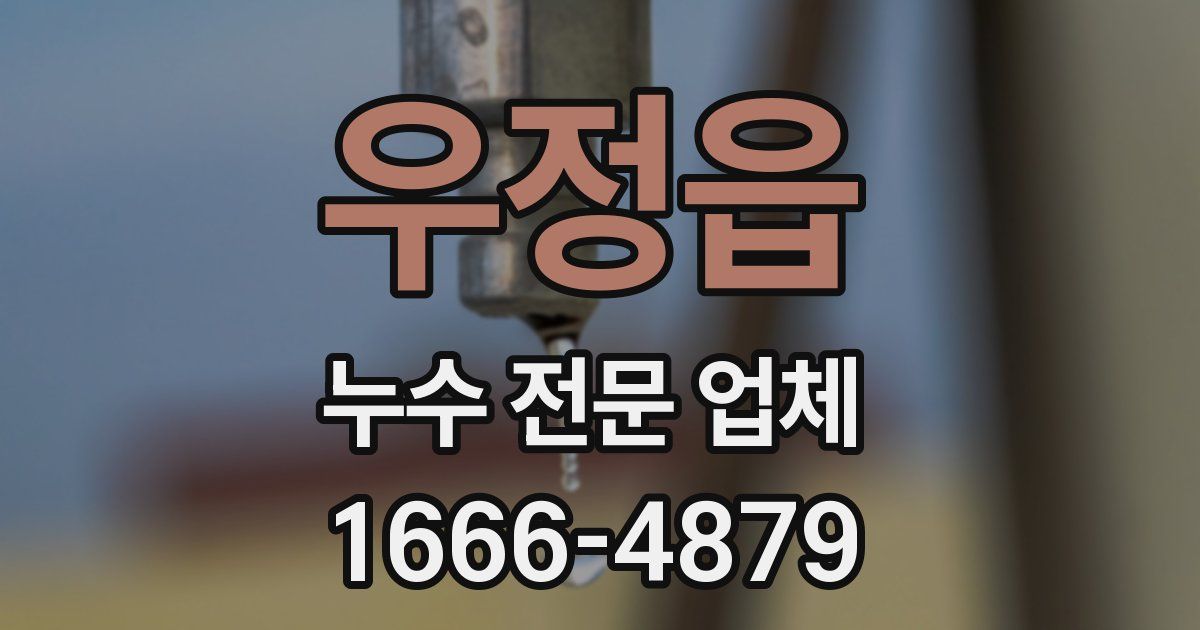 우정읍 누수 전문 업체