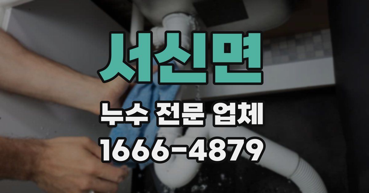 서신면 누수 전문 업체