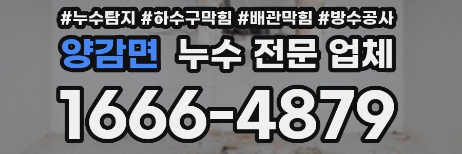 양감면 누수 전문 업체