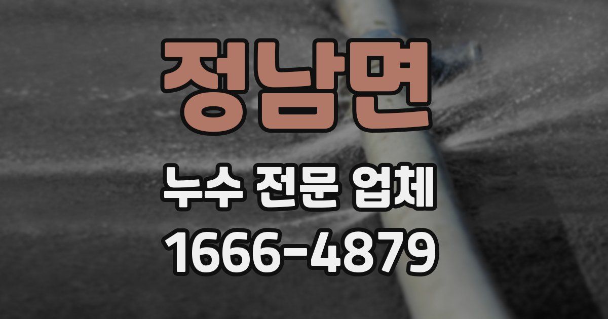 정남면 누수 전문 업체