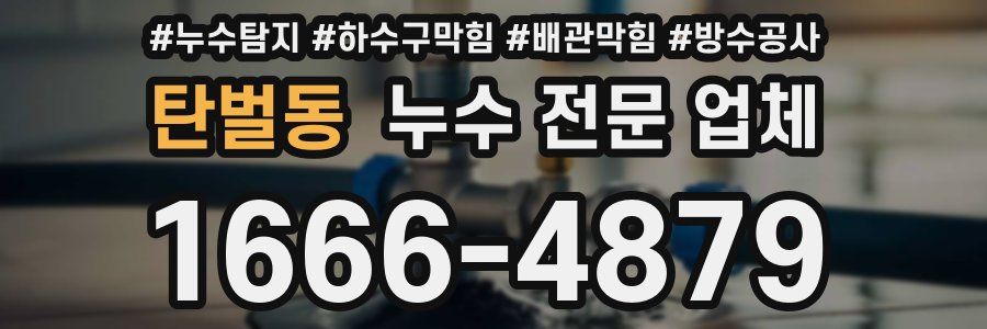 탄벌동 누수 전문 업체
