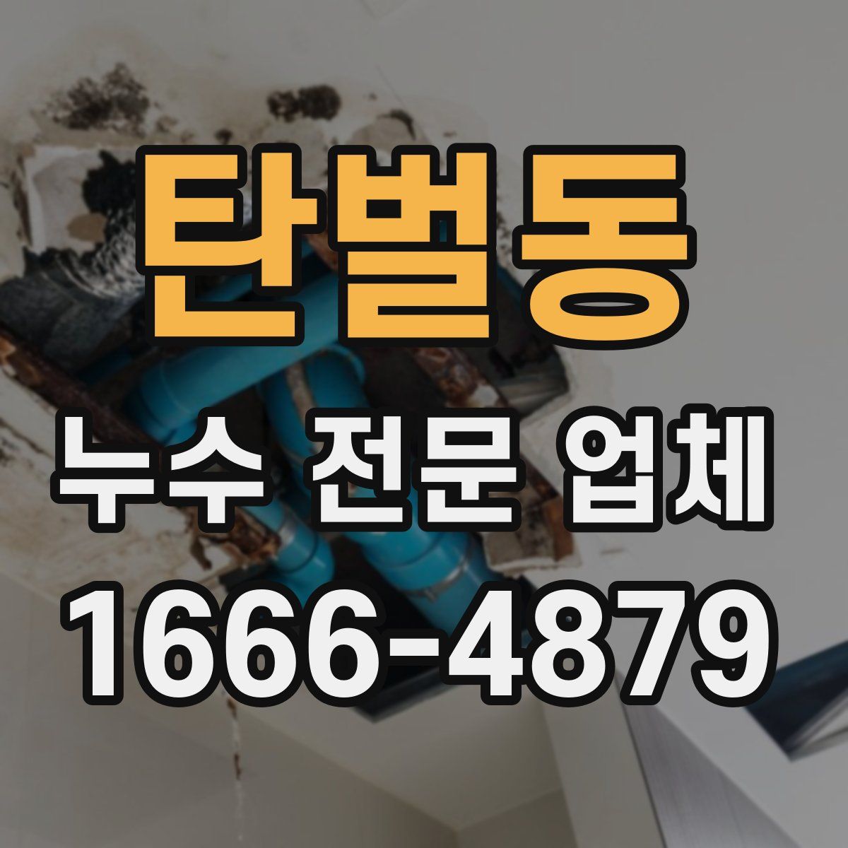 탄벌동 누수 전문 업체
