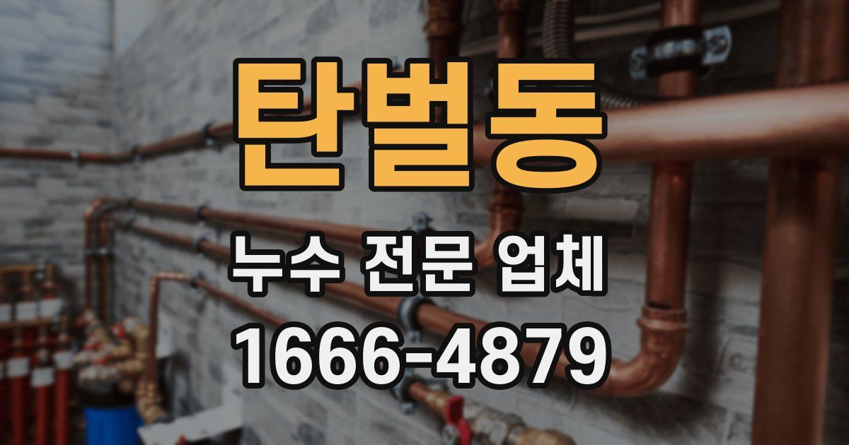 탄벌동 누수 전문 업체