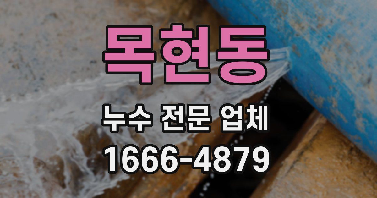 목현동 누수 전문 업체