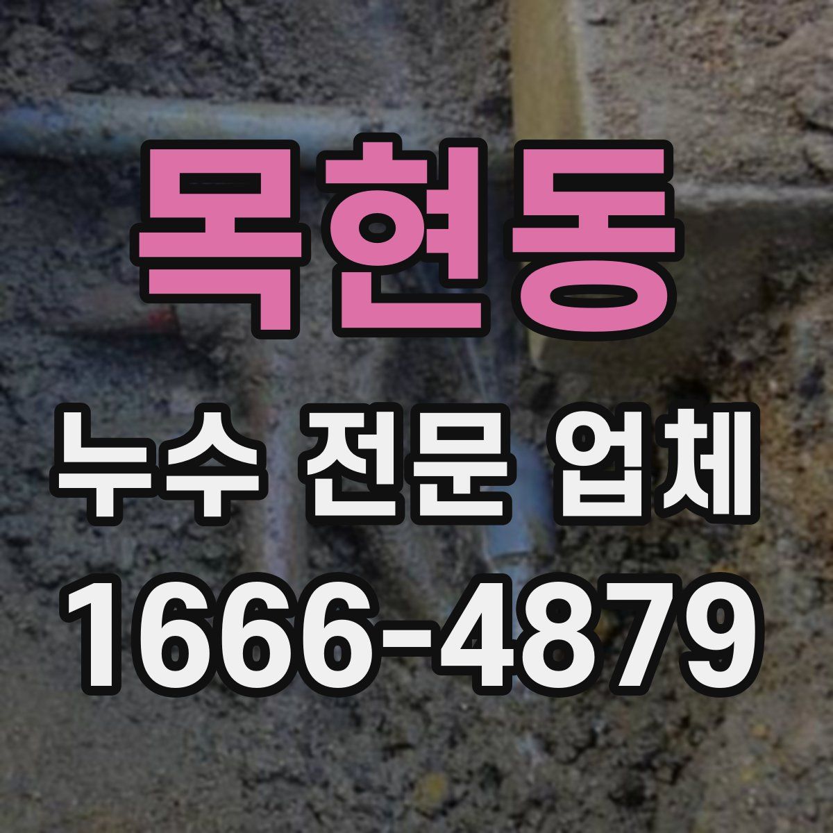 목현동 누수 전문 업체