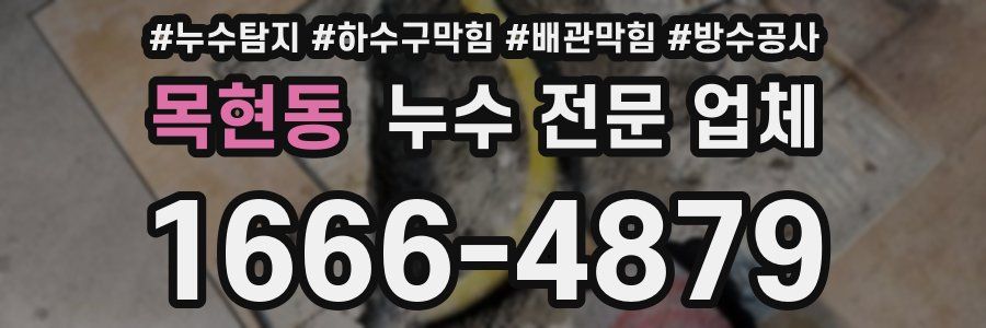 목현동 누수 전문 업체