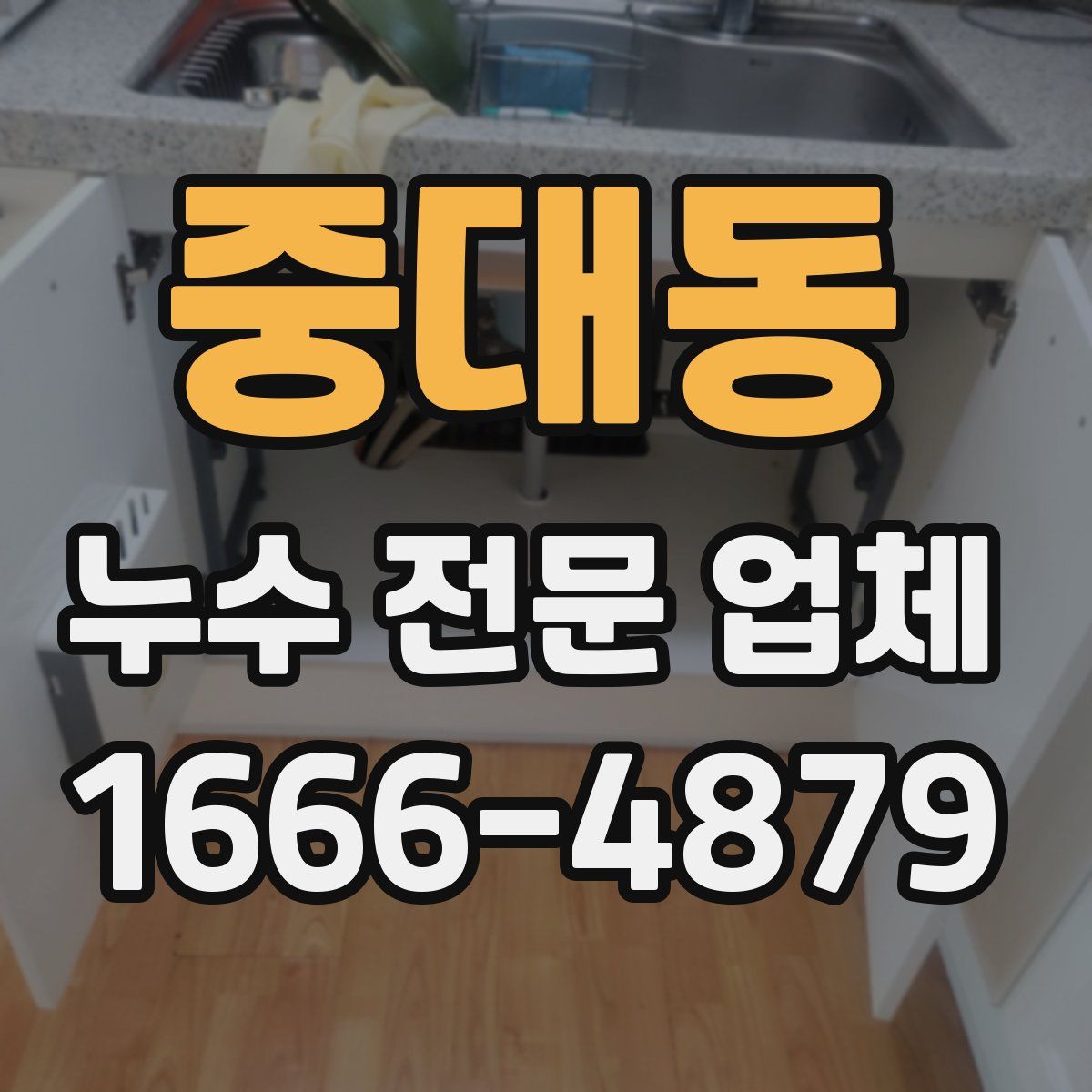 중대동 누수 전문 업체