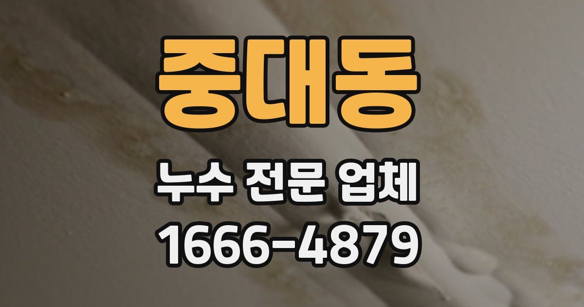 중대동 누수 전문 업체