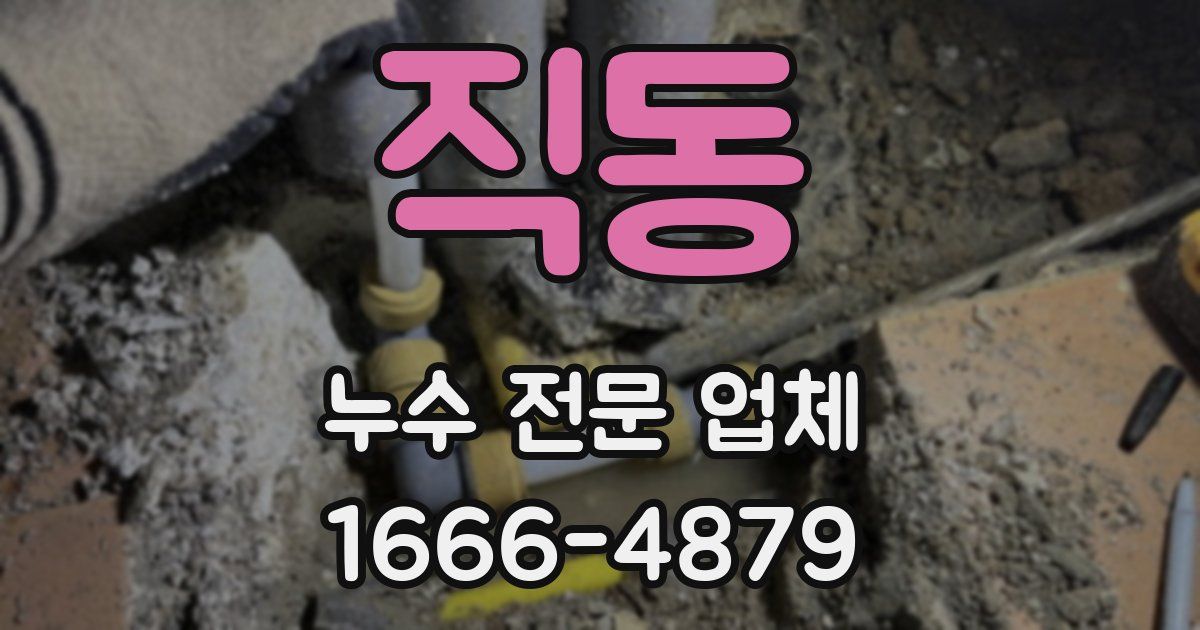 직동 누수 전문 업체