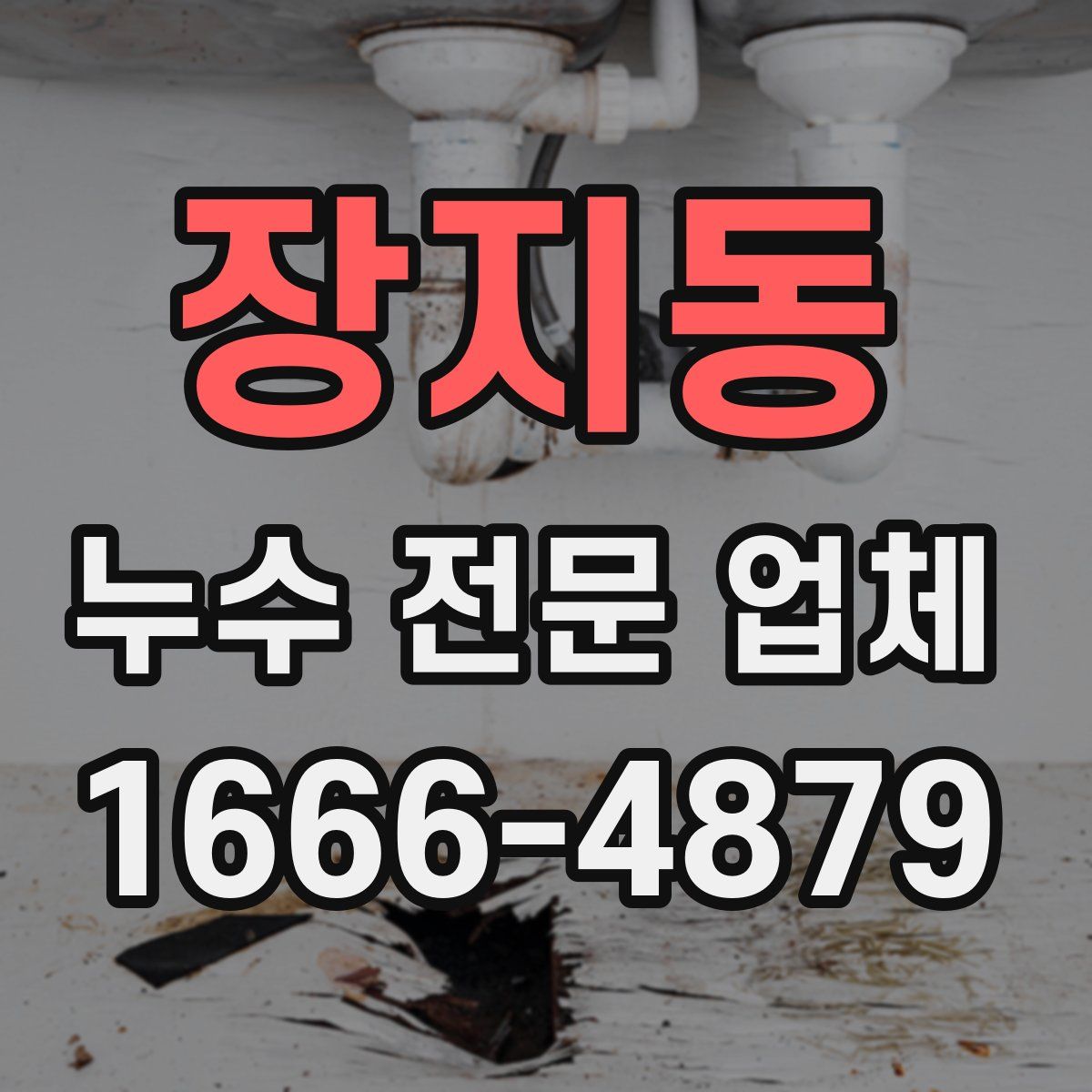 장지동 누수 전문 업체