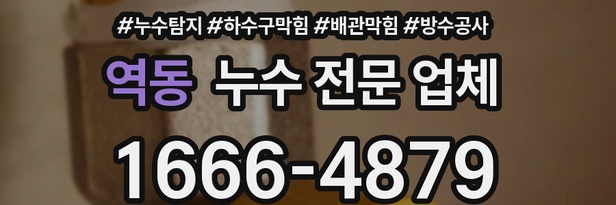 역동 누수 전문 업체