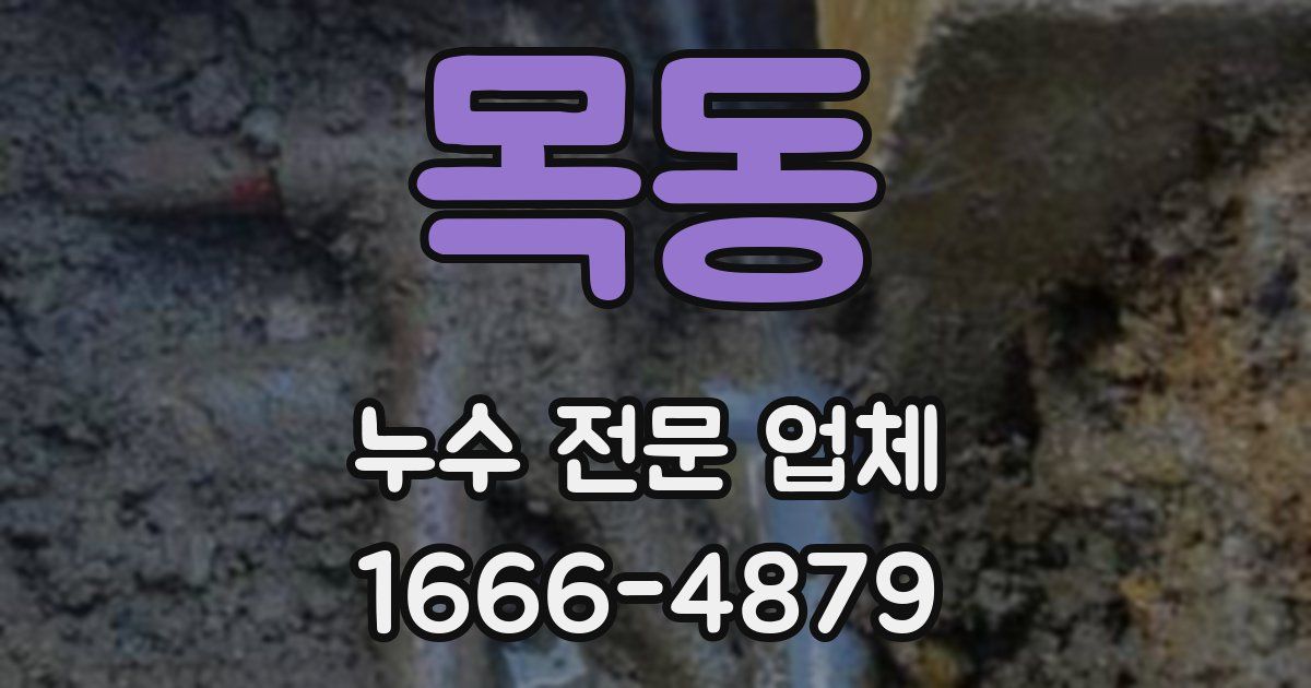 목동 누수 전문 업체