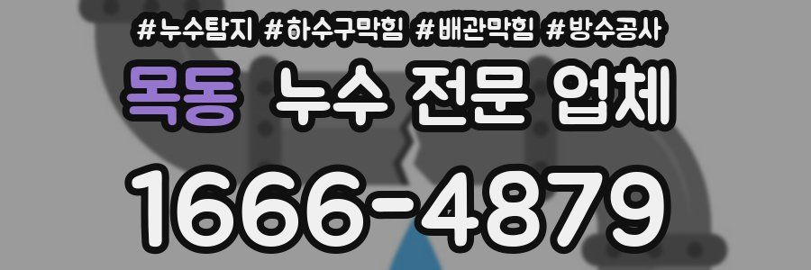 목동 누수 전문 업체