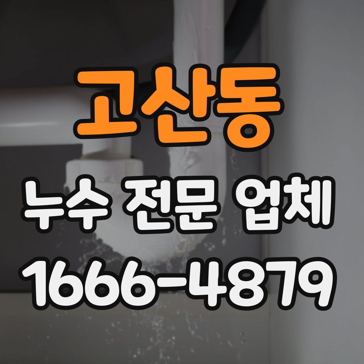 고산동 누수 전문 업체